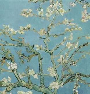 Detail uit Amandelbloesem 1890, Vincent van Gogh