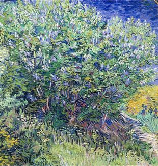 Vincent van Gogh, "Lilac Bush", Hermitage Museum, Sint Petersburg
