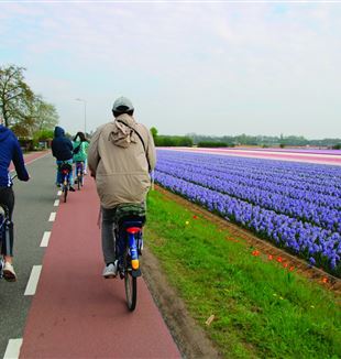 Fietstocht in Nederland