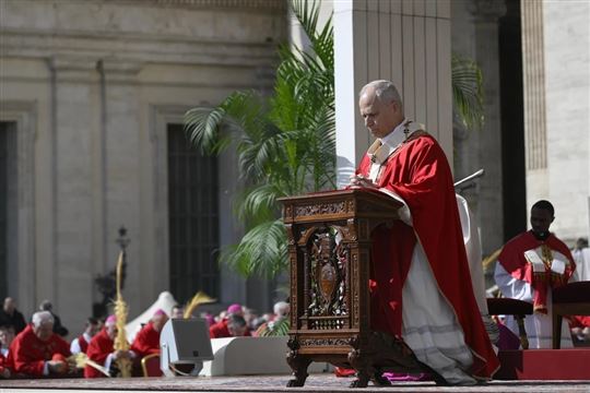 Paus Leo tijdens de viering van Palmzondag (© Ansa/Vatican Media)