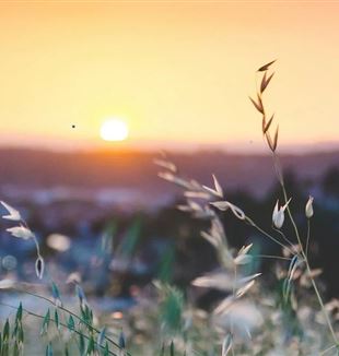 (© Unsplash/Sapan Patel)